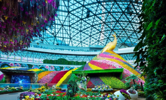 钱柜qg777(中国区)唯一官方网站