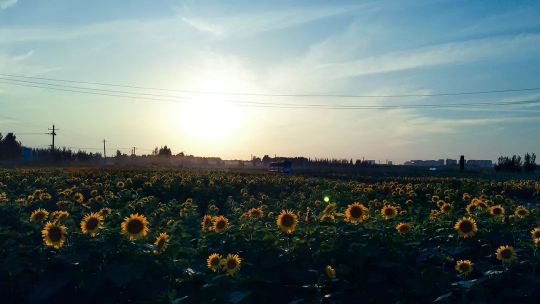 钱柜qg777(中国区)唯一官方网站