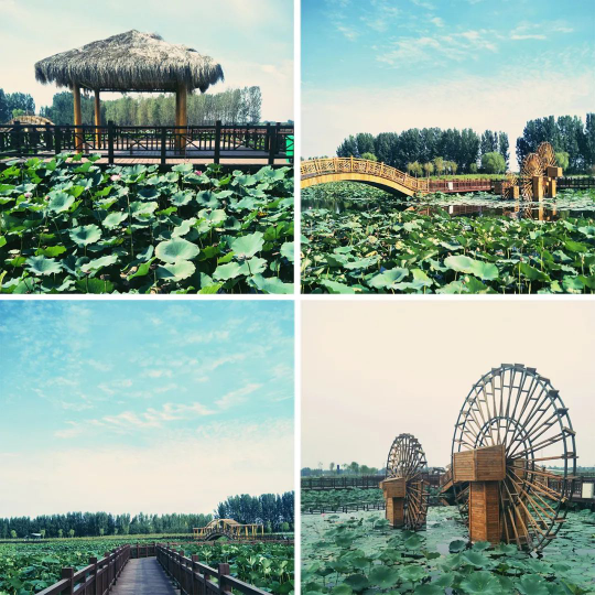 钱柜qg777(中国区)唯一官方网站