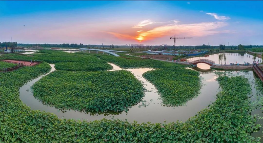 钱柜qg777(中国区)唯一官方网站