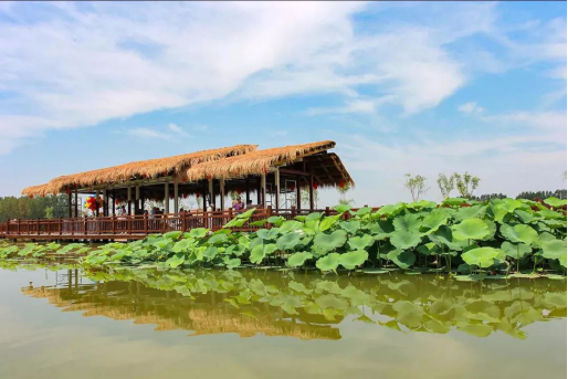 钱柜qg777(中国区)唯一官方网站