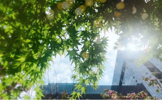 钱柜qg777(中国区)唯一官方网站