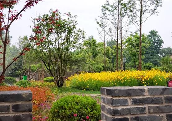 钱柜qg777(中国区)唯一官方网站