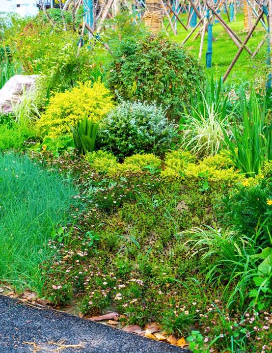 钱柜qg777(中国区)唯一官方网站